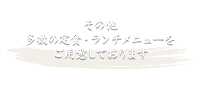 その他多数の定食・ランチメニュー