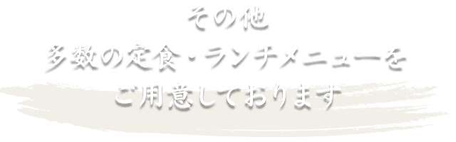 その他多数の定食