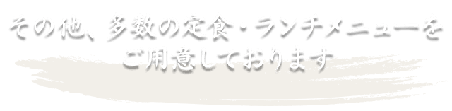 その他、多数の定食