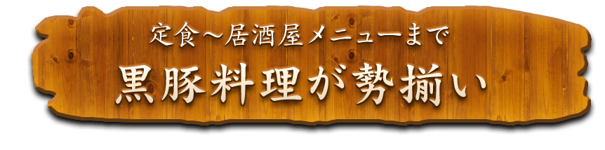 定食～居酒屋メニュー