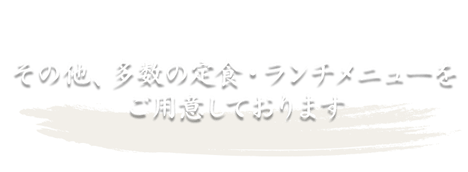 その他のランチメニューも