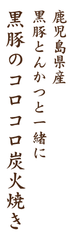 鹿児島県産